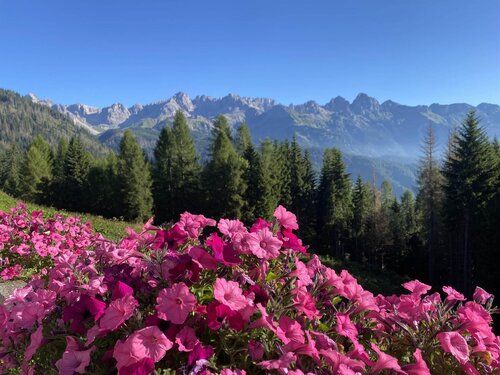 APP. ALPEN GARTEN