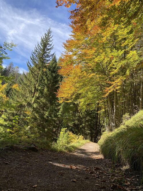 APP. ALPEN GARTEN
