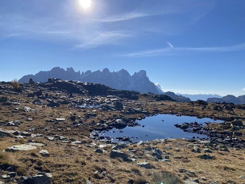 APP. ALPEN GARTEN