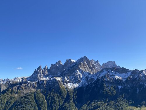APP. ALPEN GARTEN