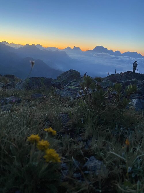 APP. ALPEN GARTEN
