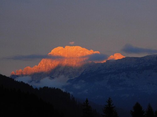 APP. ALPEN GARTEN