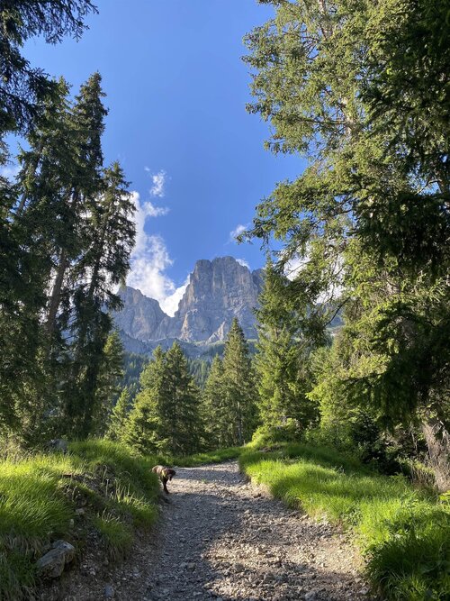 APP. ALPEN GARTEN