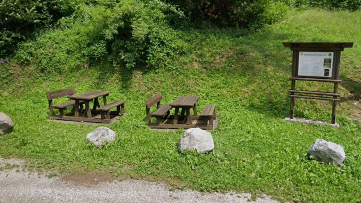 Area picnic Area picnic