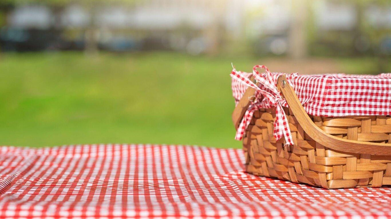 Picnic Picnic