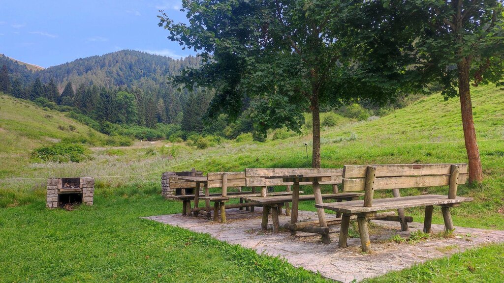 Images Trn 1 2a4b77fd B684 443f 92f6 D9e22d2557f0 99 Image