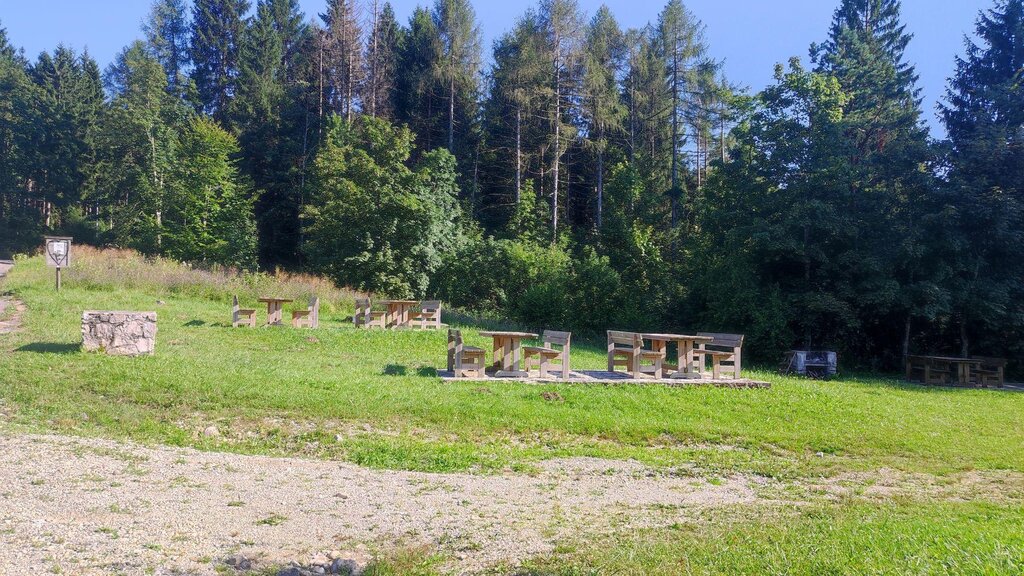 Images Trn 1 31faa8bb 42d7 4d1a 8d70 982e2d91633d 99 Image