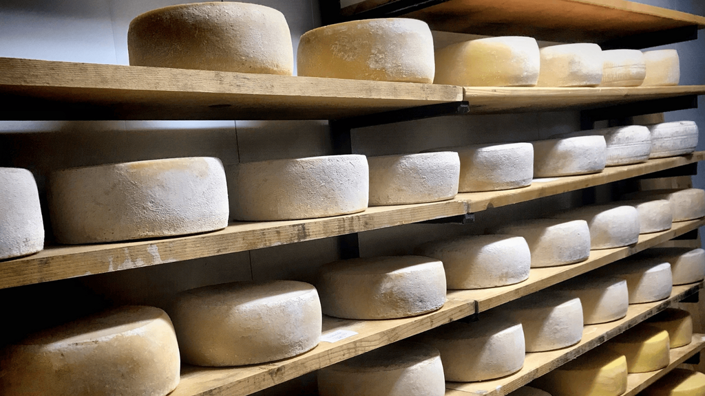 Formaggi biologici 1