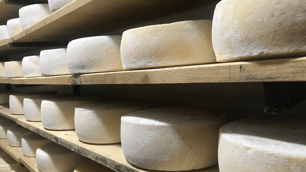 Formaggi biologici 2