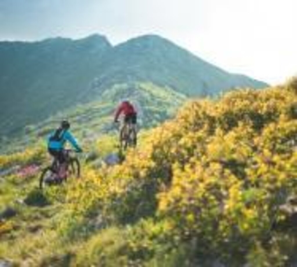 Images Trn 1 850dc71c A078 4e15 B694 6260dd93f872 99 Image