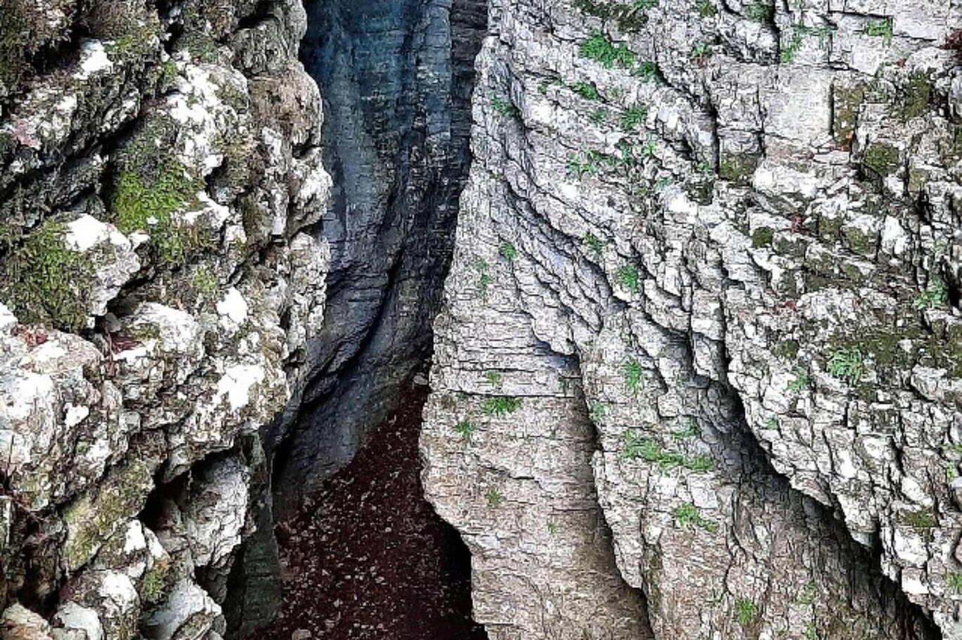 Bus del Buson Bus del Buson