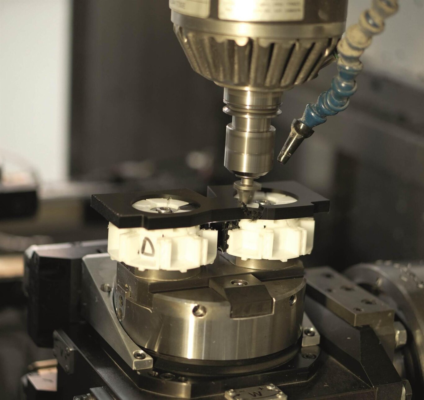 FOTO_COSTANTINO TOFFOLI_7