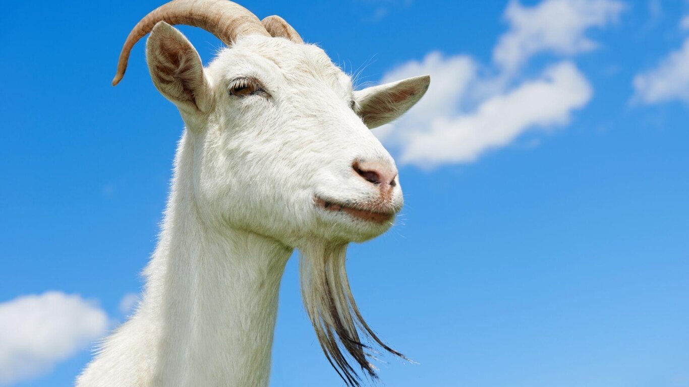 Escursione guidata Escursione guidata