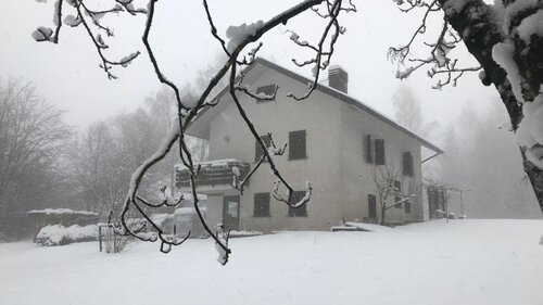 Casa Betulla - Neve