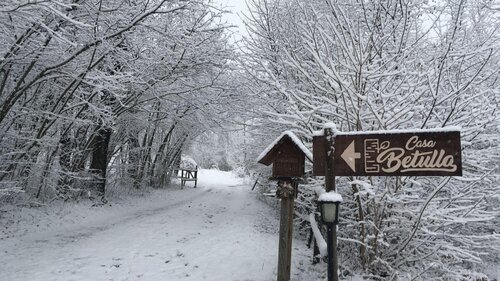 Casa Betulla- Ingresso neve