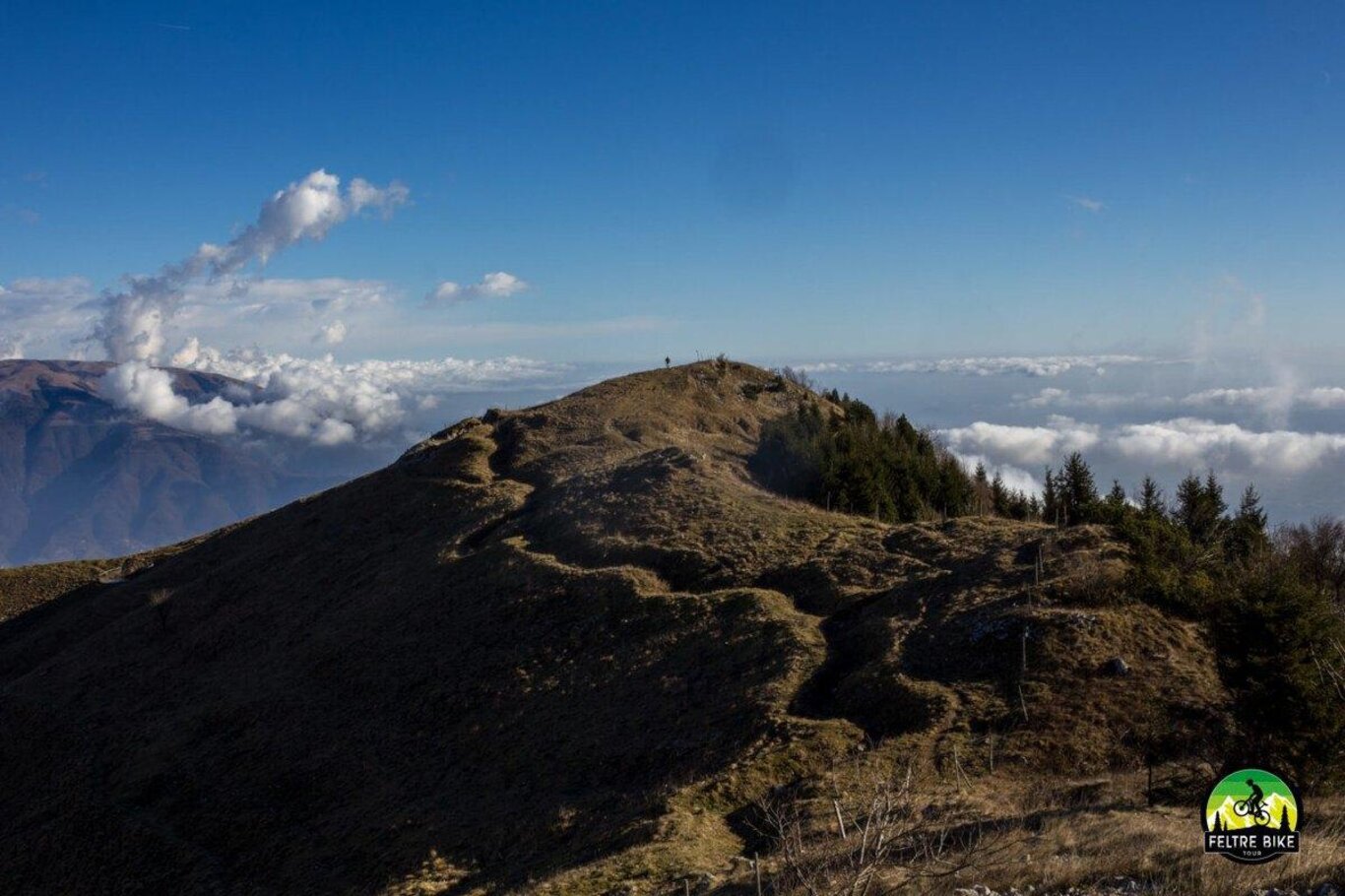 Cima Grappa - E-Bike tour di un giorno