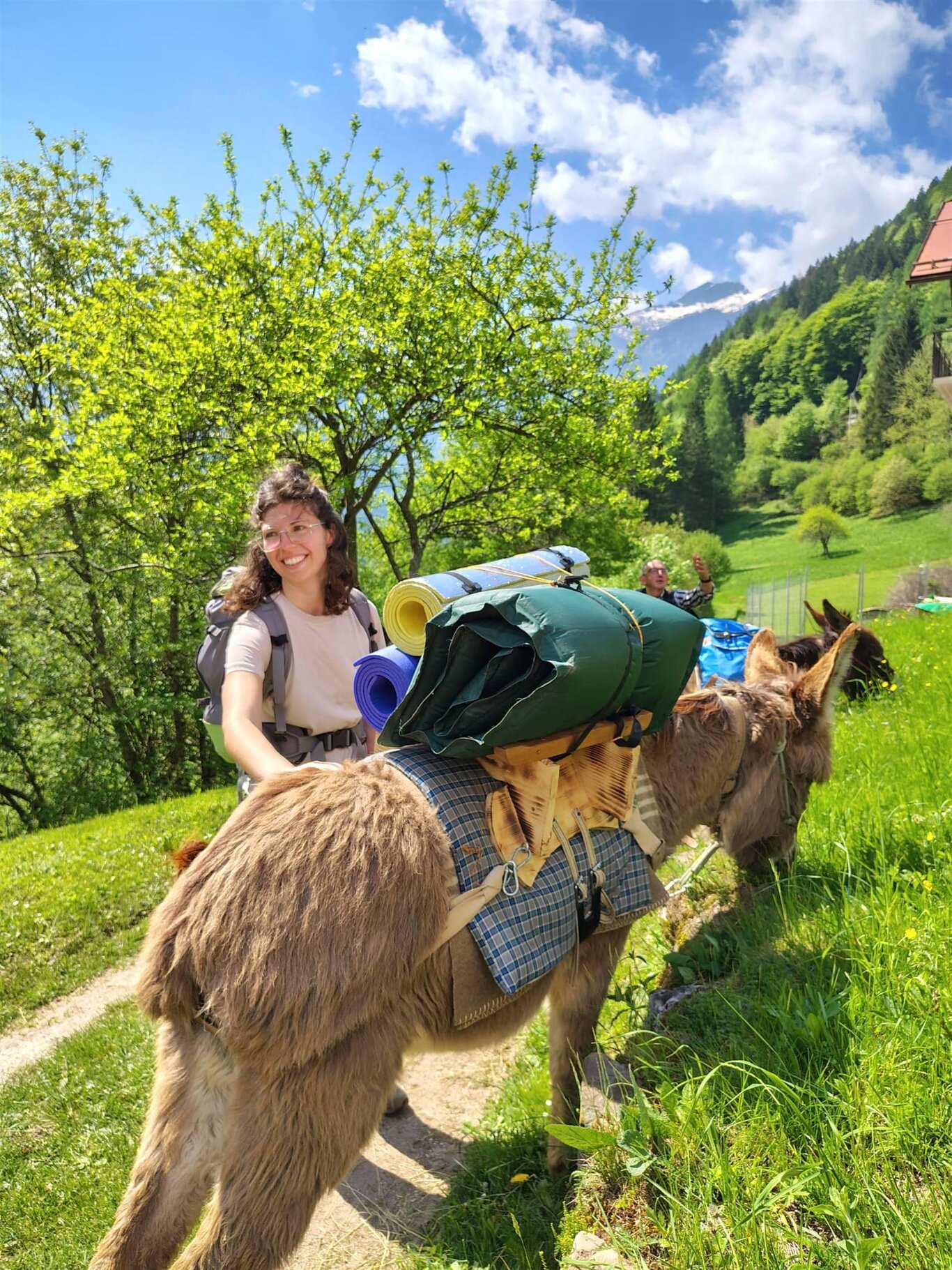 DOLOMITI BELLUNESI A PASSO DI ASINI - TREKKING CON GLI ASINI DI 2 GIORNI