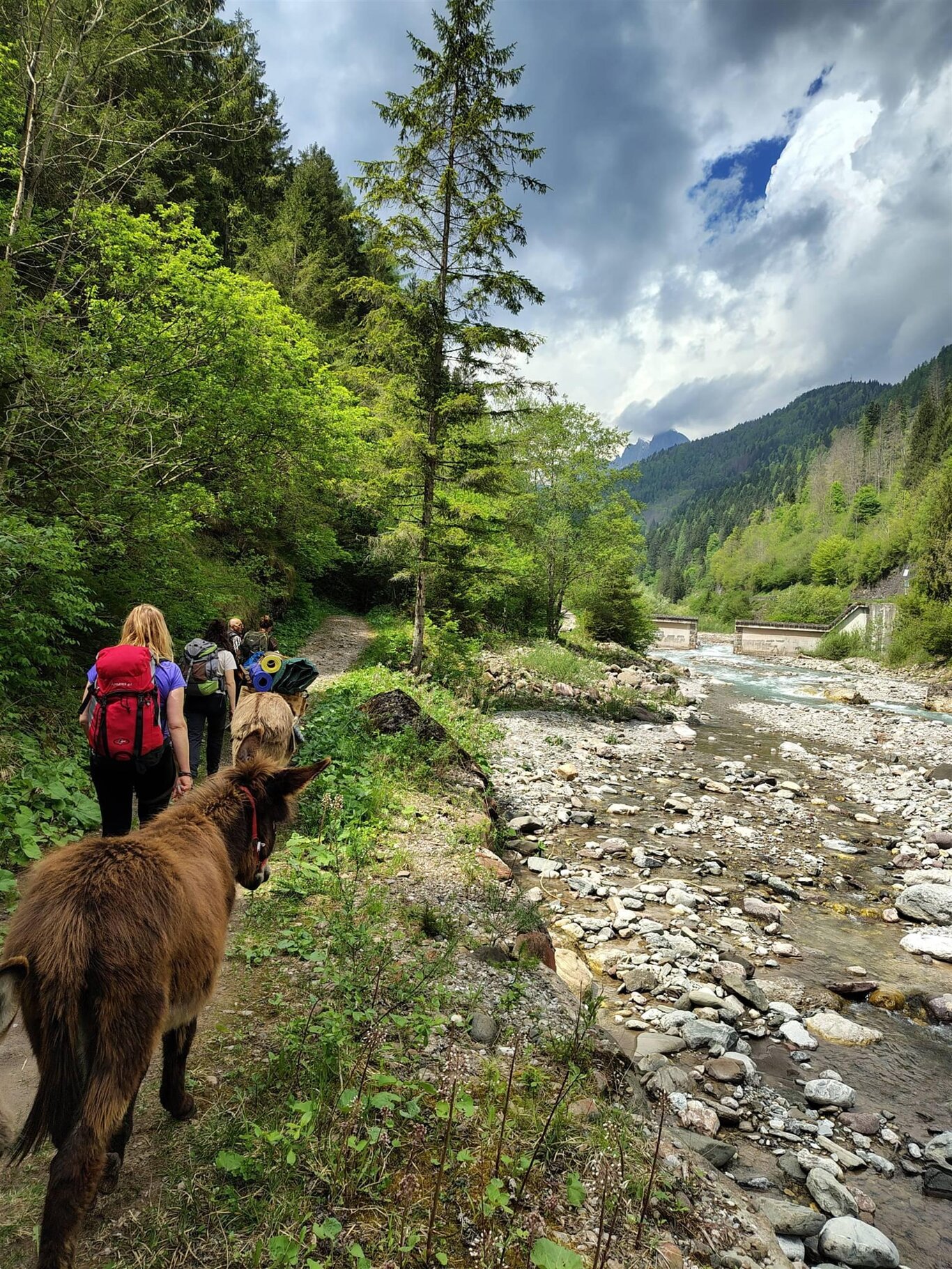 DOLOMITEN BELLUNESI A PASSO DI ESELN - TREKKING MIT DEN ESELN VON 6 STUNDEN