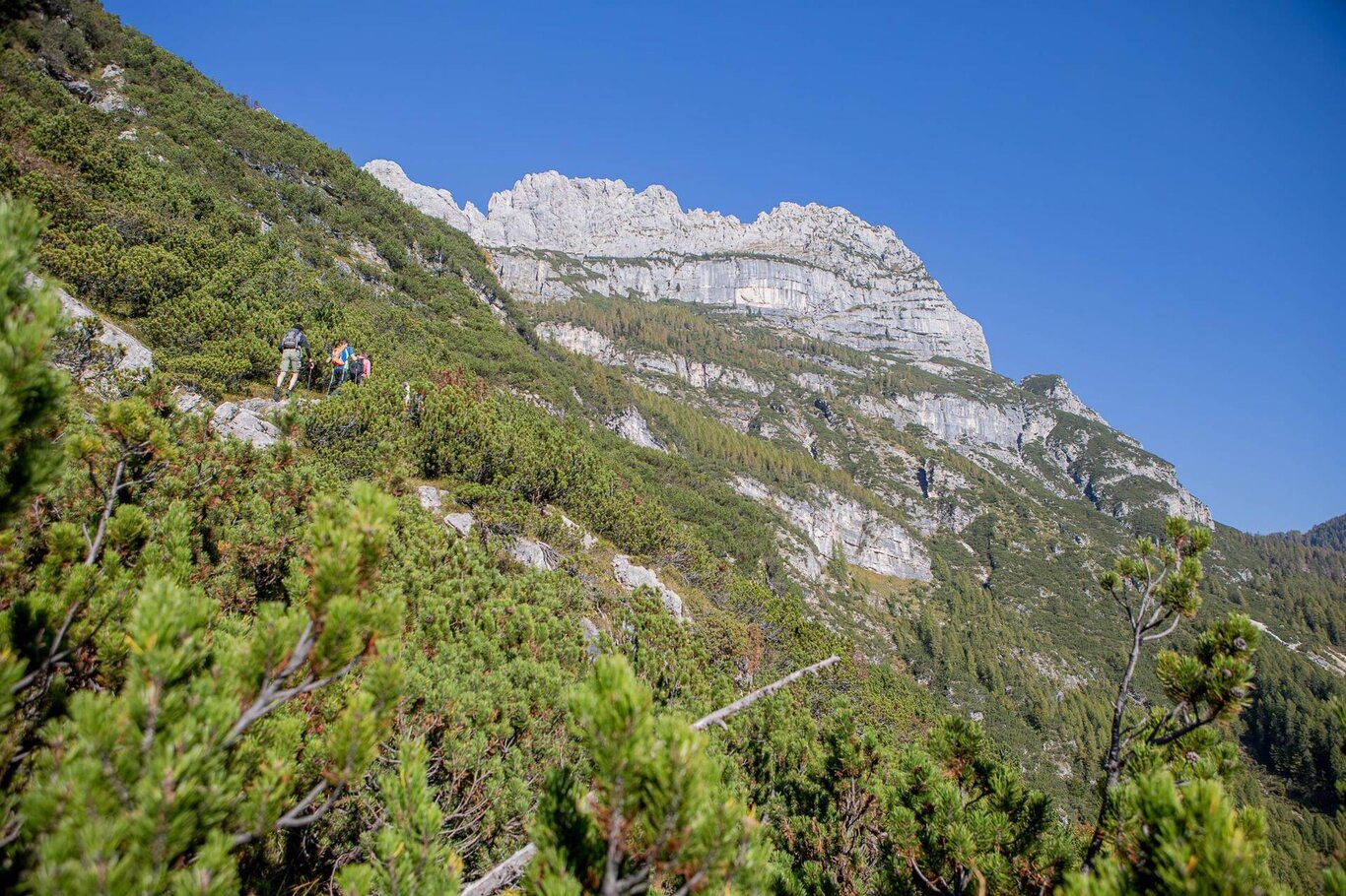 E...STATE IN ZOLDO - Excursion to the Mazes of Moiazza