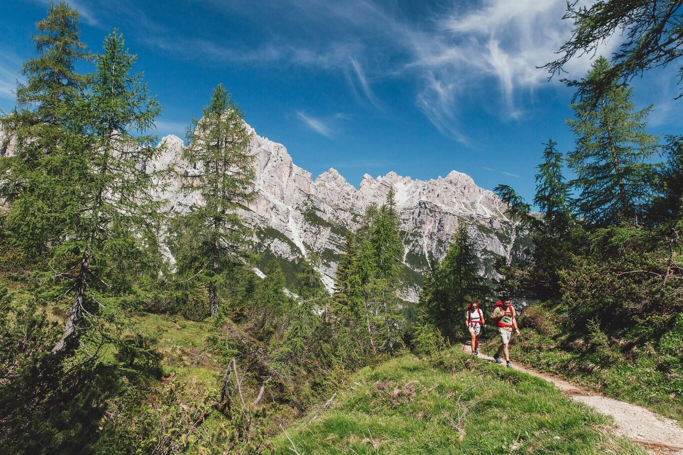 E...STATE IN ZOLDO - Die Biodiversität im Nationalpark Dolomiti Bellunesi