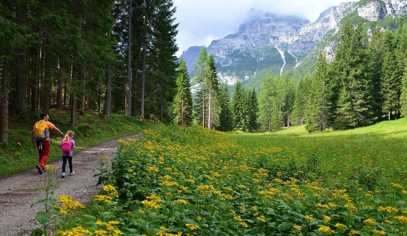 E...STATE IN ZOLDO - In the Belluno Dolomites National Park for the little ones