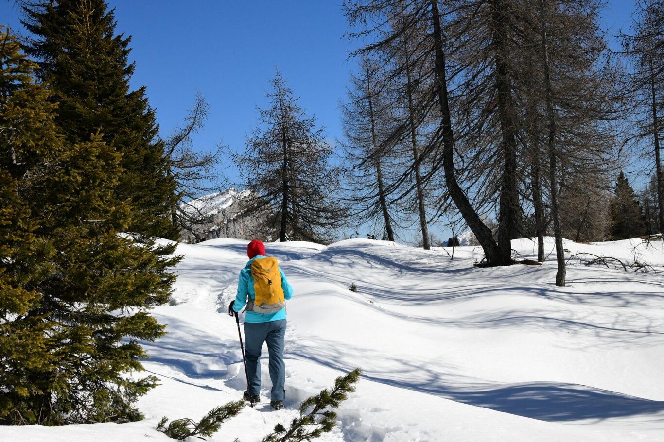 ciaspolate rigeneranti 2