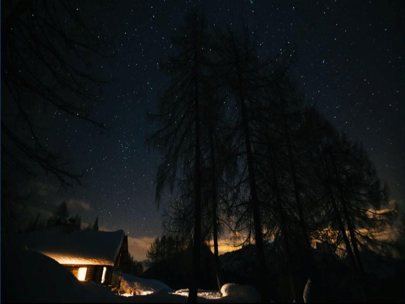 ciapsolata in notturna 2