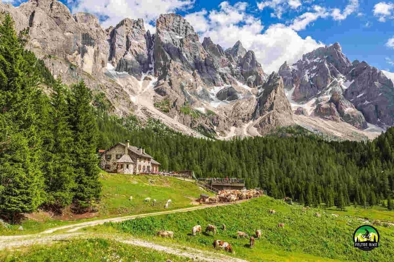 Giro delle Pale di San Martino - E-Bike tour di un giorno