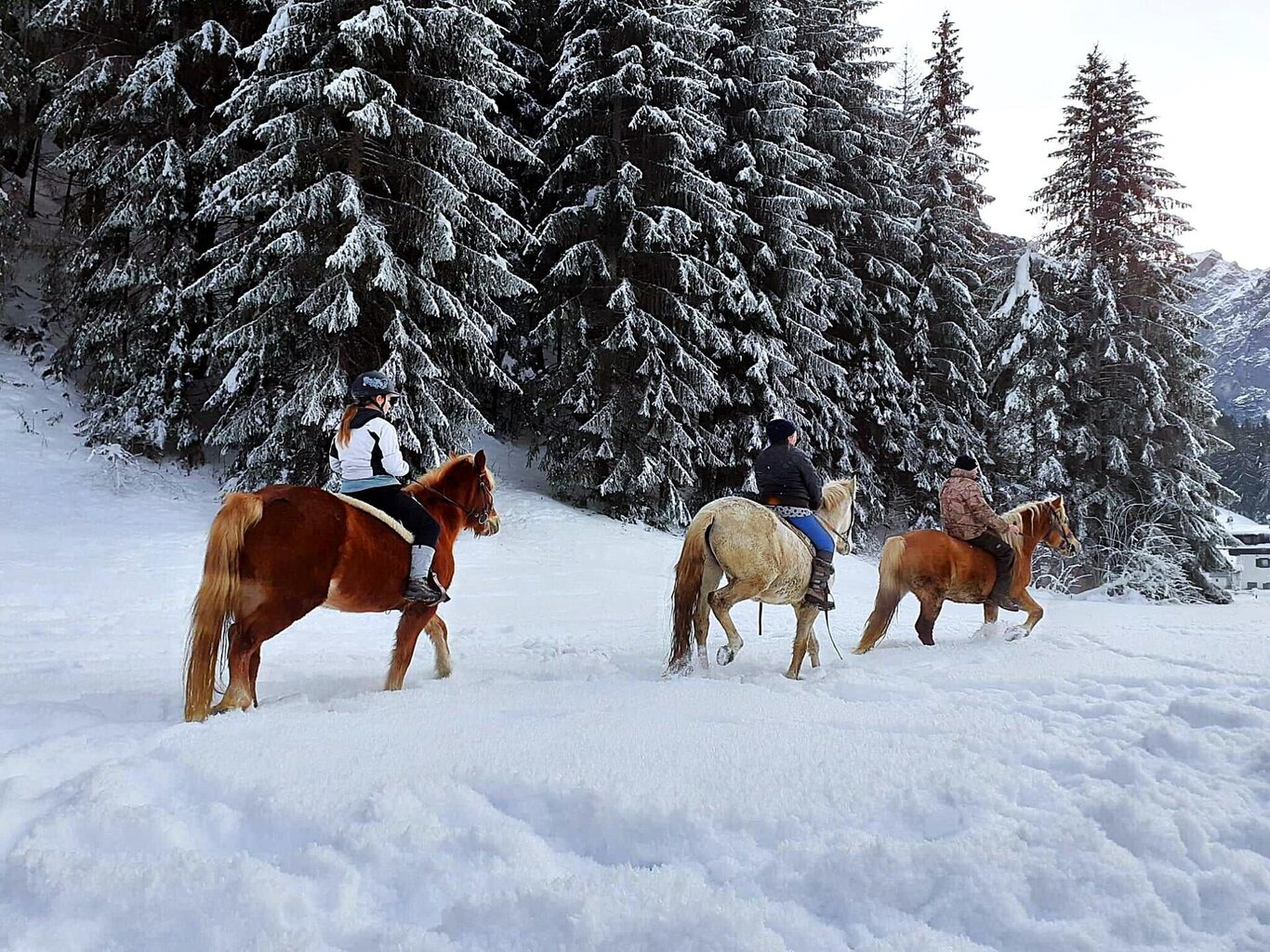 WhatsApp Image 2023-11-17 at 21.57.02a