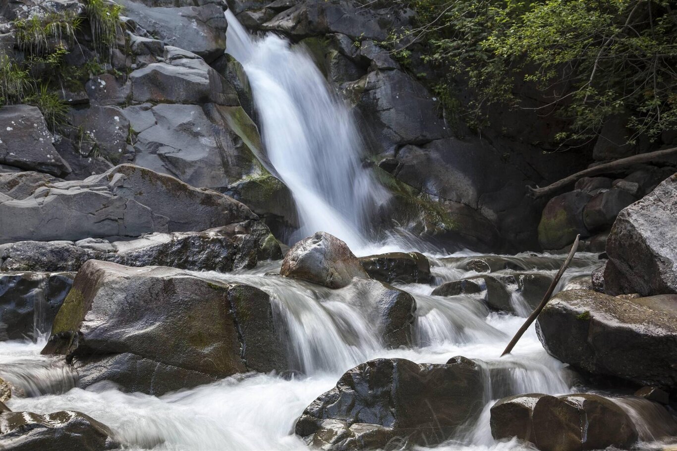 Sources of the Piave Val Sesis