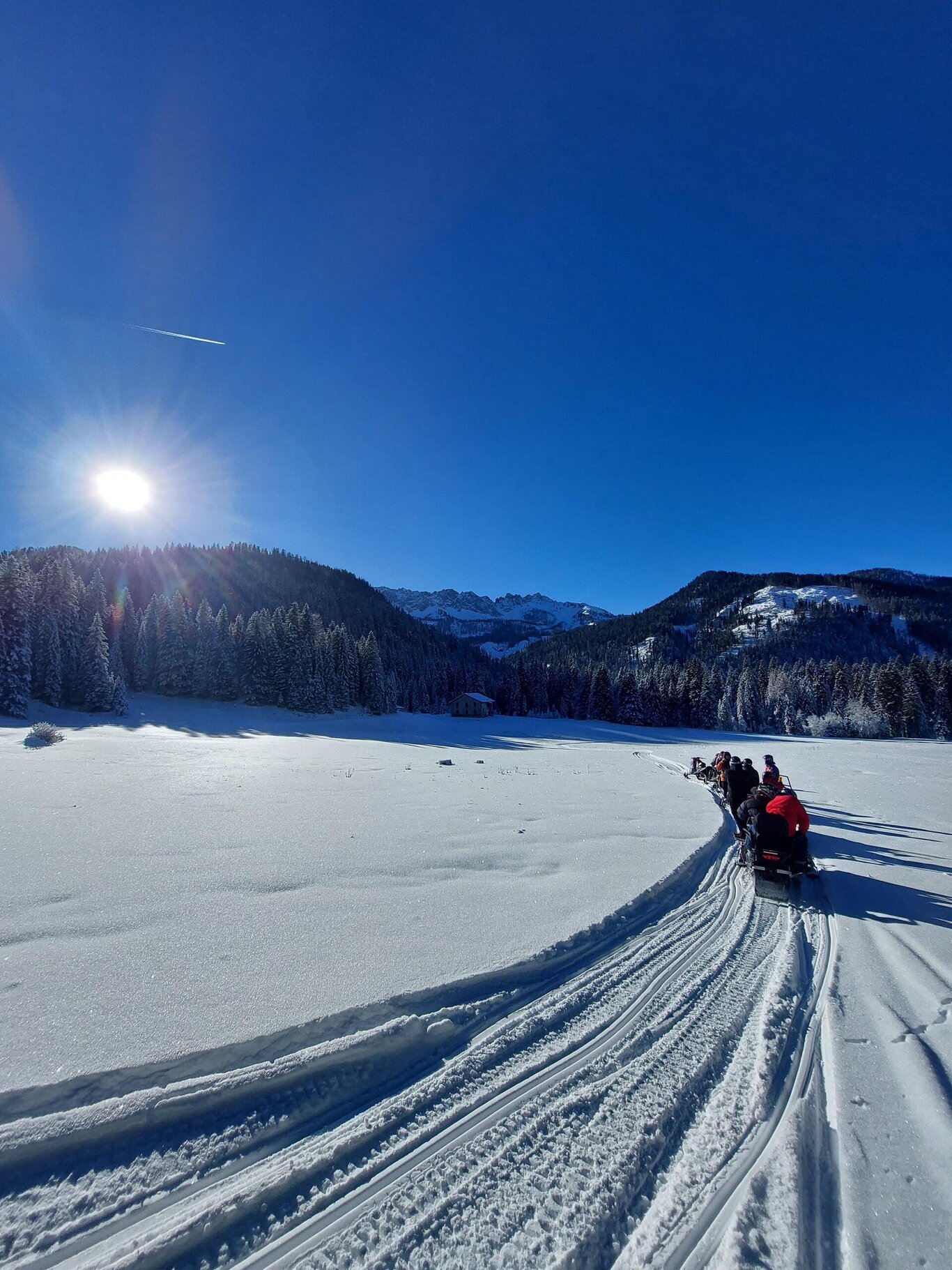 WhatsApp Image 2024-01-23 at 11.00.49