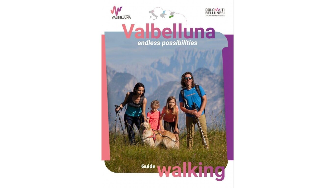 Guide Walking