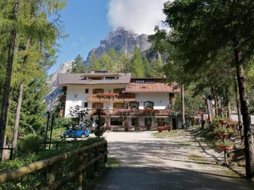 Il Cardo 18-crop
