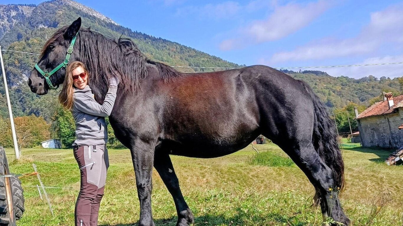 Il respiro dei giganti - Grooming