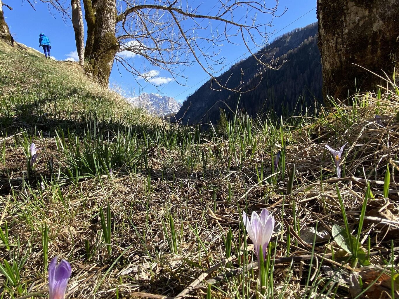 Frühlingserwachen in den Dolomiten
