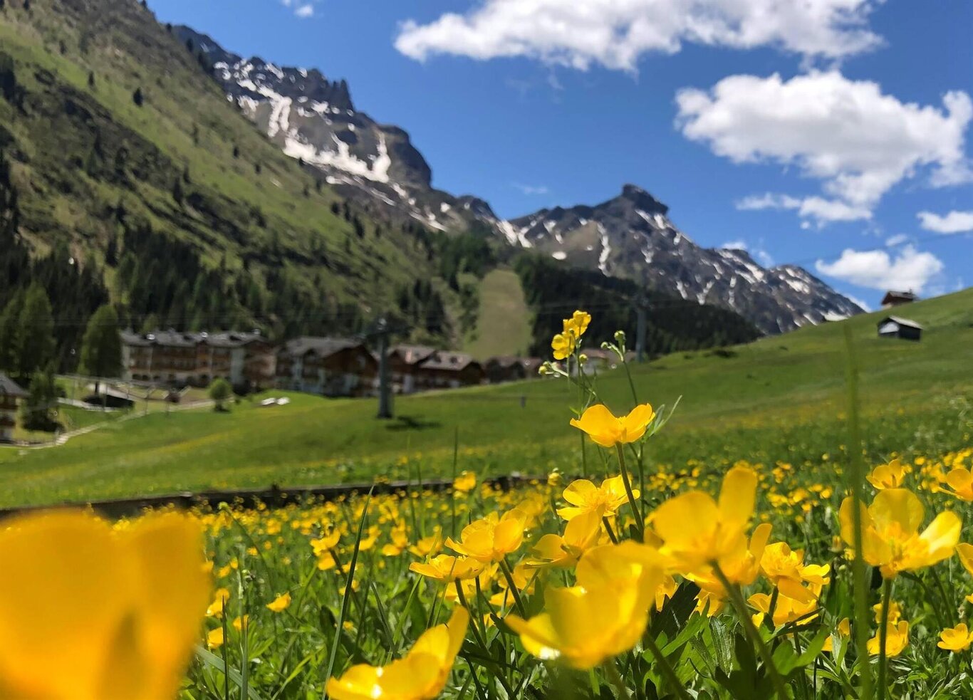 Frühlingserwachen in den Dolomiten