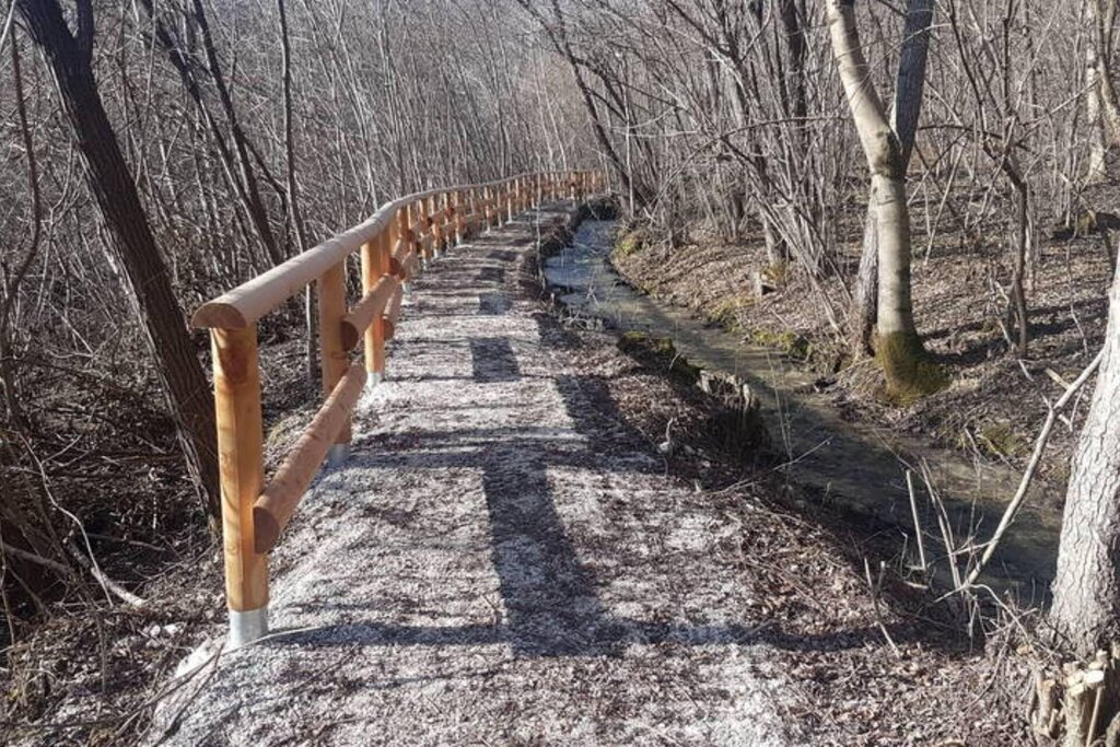 Immagine secondaria Immagine secondaria