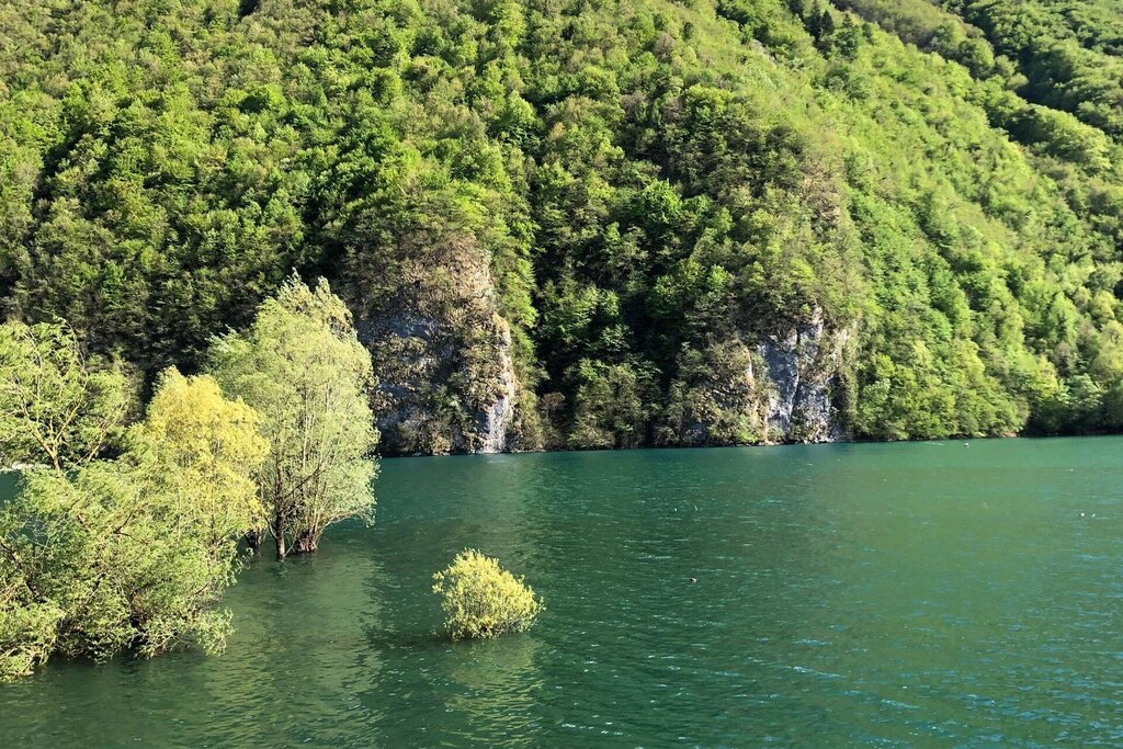 Lago