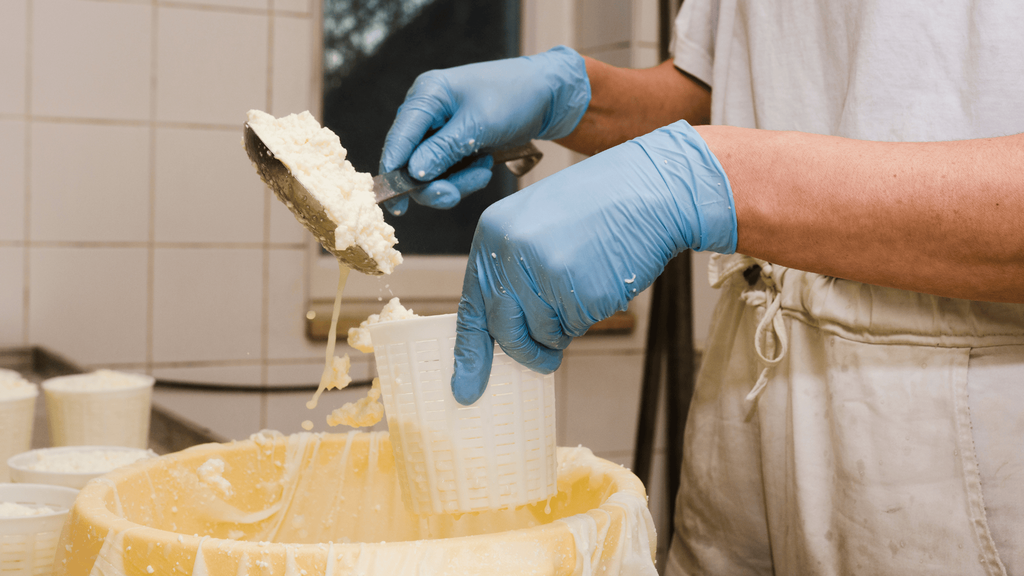 ricotta latteria valmorel