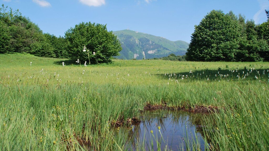 Le Torbiere di Valpiana