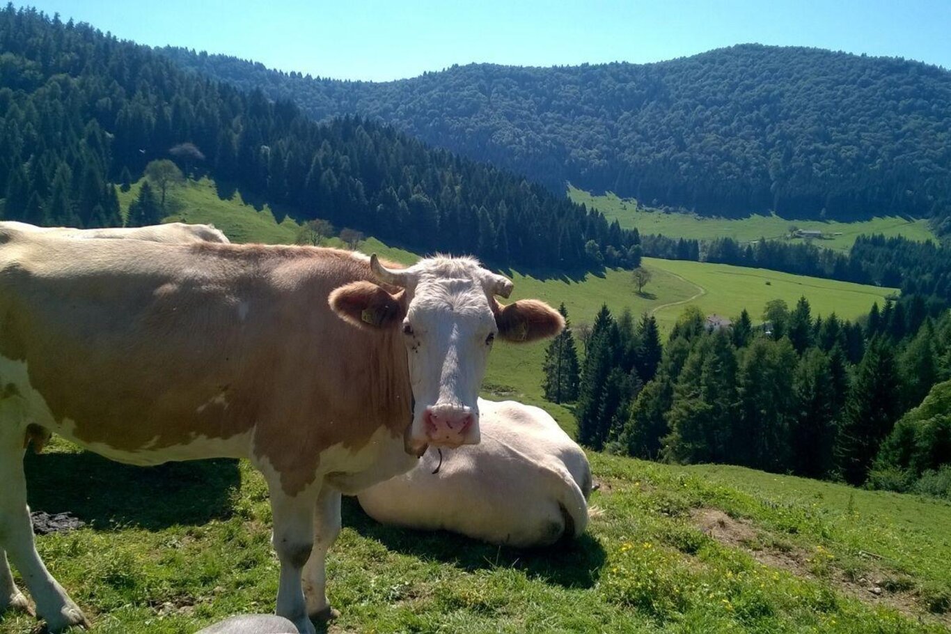 Magnalonga Valmorel - Giro delle Malghe 26