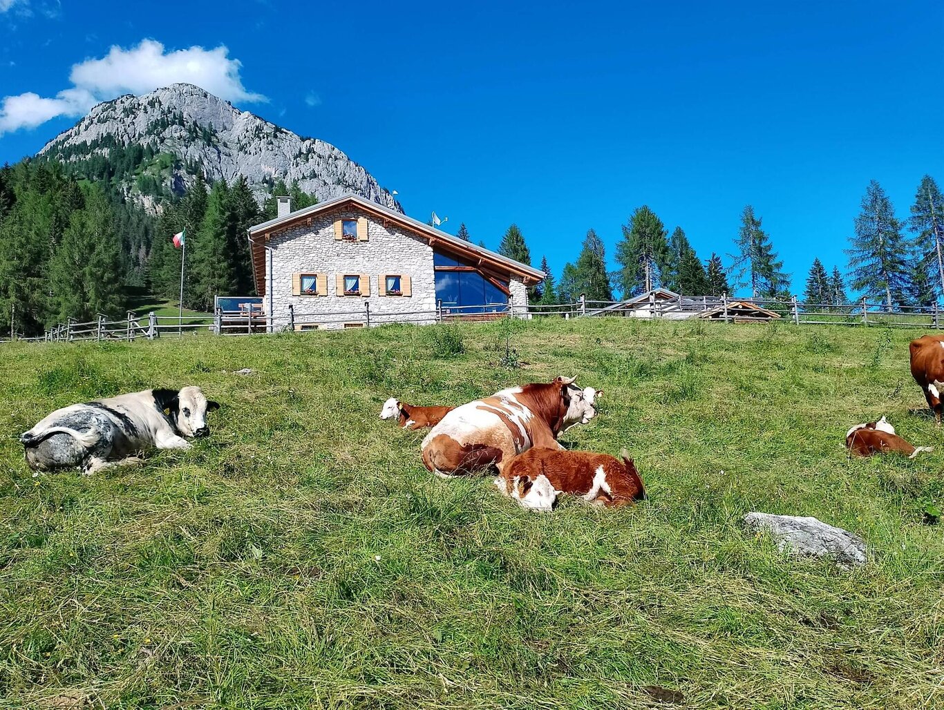 malga maraia malga maraia