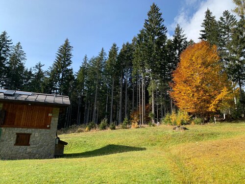 esterni