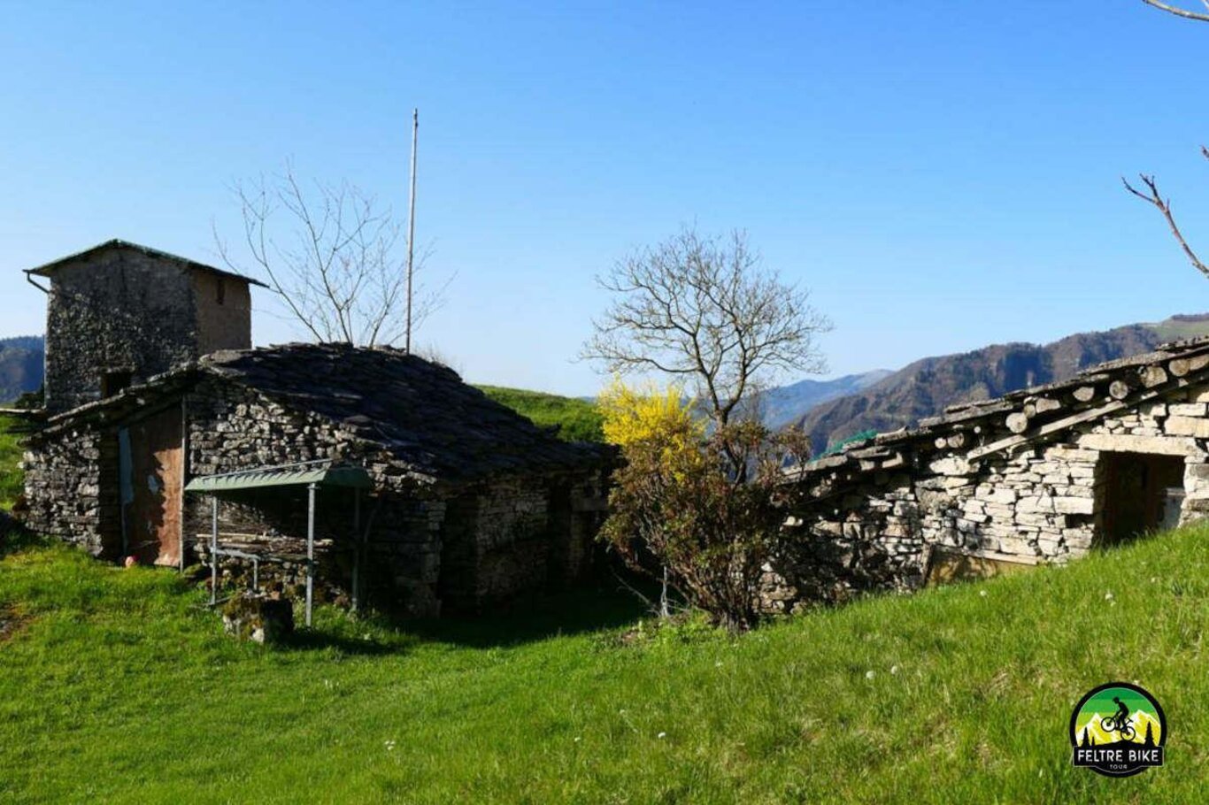 Monte Tomatico - E-Bike tour di un giorno