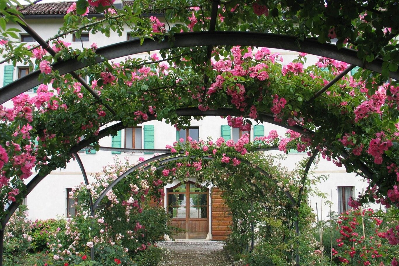 Esterni_roseto Esterni_roseto