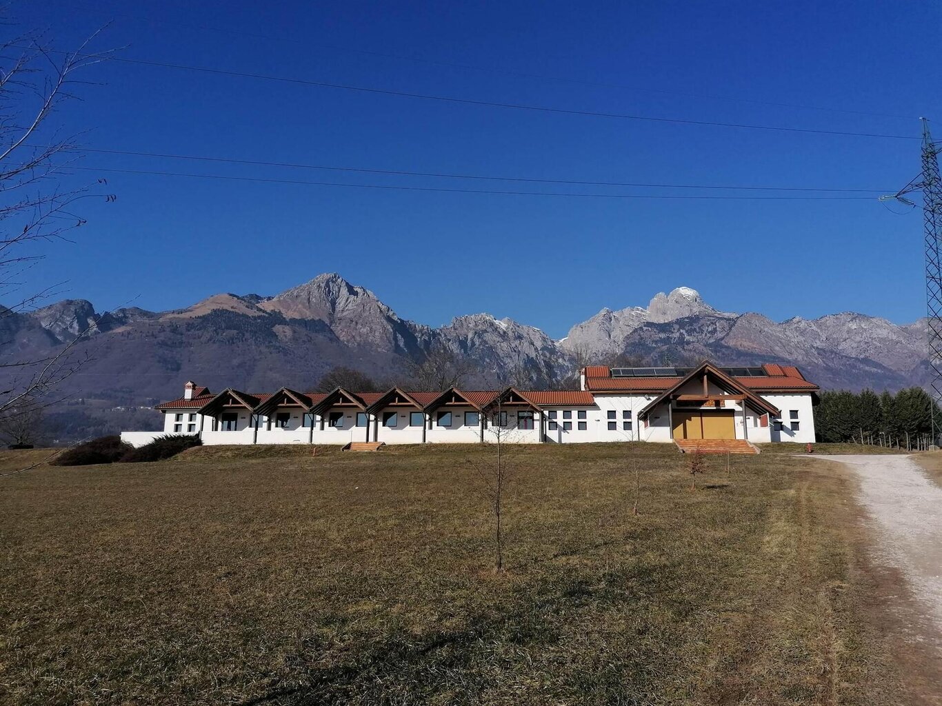 oasi oasi