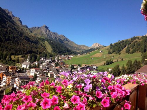 thumbnail_IMG_7845 thumbnail_IMG_7845