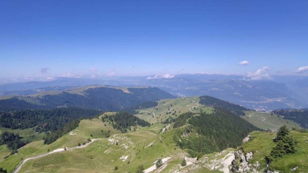 Visuale