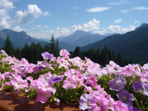 Vista panoramica Vista panoramica