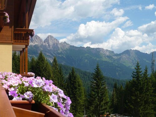 Vista laterale Vista laterale